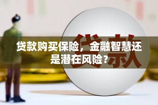 阳谷贷款购买保险，金融智慧还是潜在风险？