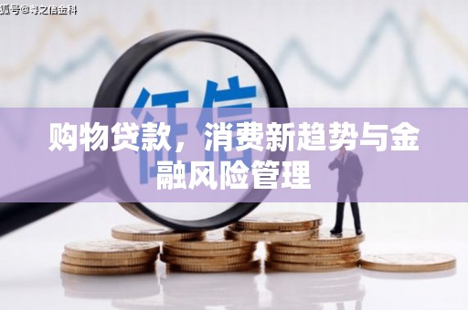 阳谷购物贷款，消费新趋势与金融风险管理