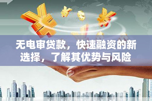 阳谷无电审贷款，快速融资的新选择，了解其优势与风险