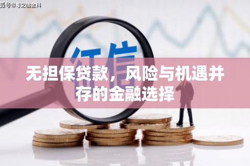 阳谷无担保贷款，风险与机遇并存的金融选择