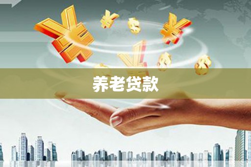 阳谷养老贷款