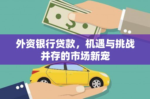 阳谷外资银行贷款，机遇与挑战并存的市场新宠