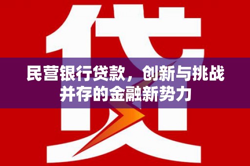 阳谷民营银行贷款，创新与挑战并存的金融新势力