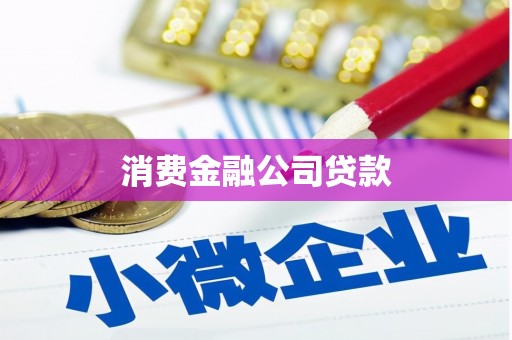 阳谷消费金融公司贷款