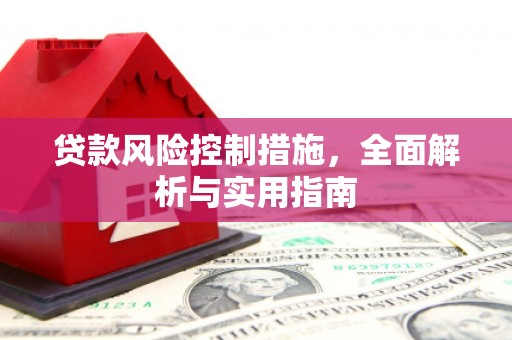 阳谷贷款风险控制措施，全面解析与实用指南