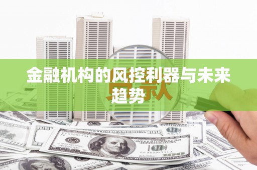 阳谷金融机构的风控利器与未来趋势