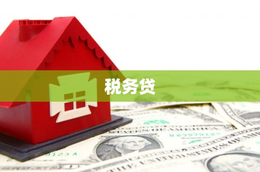 阳谷税务贷