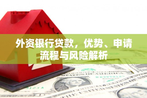 阳谷外资银行贷款，优势、申请流程与风险解析
