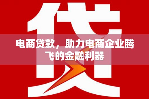 阳谷电商贷款，助力电商企业腾飞的金融利器