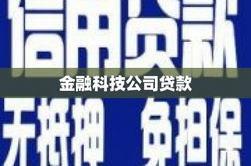 阳谷金融科技公司贷款