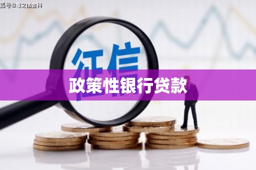阳谷政策性银行贷款