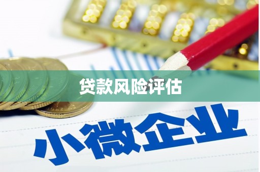 阳谷贷款风险评估