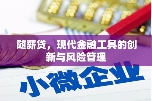 阳谷随薪贷，现代金融工具的创新与风险管理