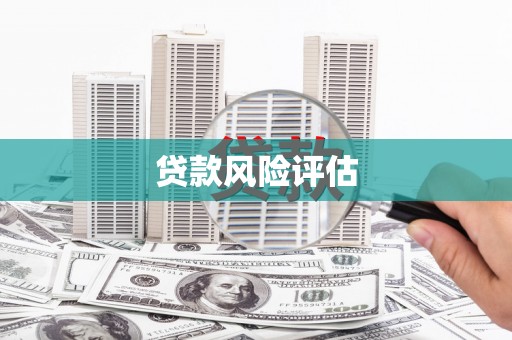 阳谷贷款风险评估
