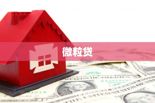 阳谷微粒贷