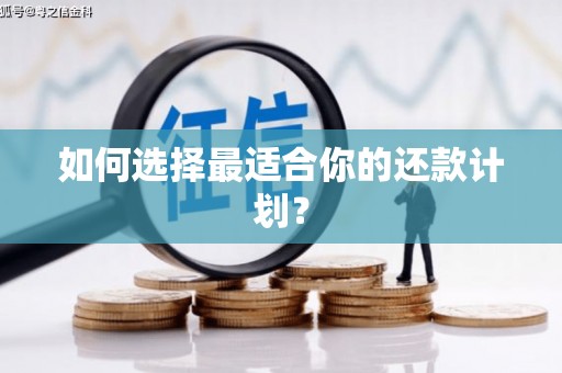 阳谷如何选择最适合你的还款计划？