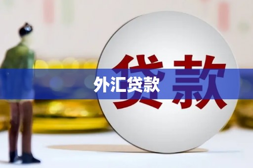 阳谷外汇贷款