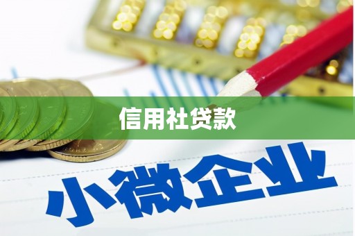 阳谷信用社贷款