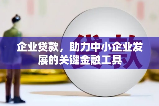 阳谷企业贷款，助力中小企业发展的关键金融工具