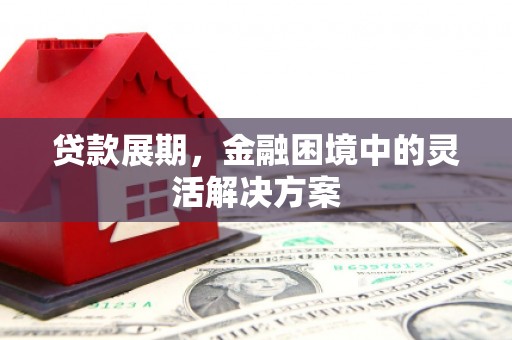 阳谷贷款展期，金融困境中的灵活解决方案