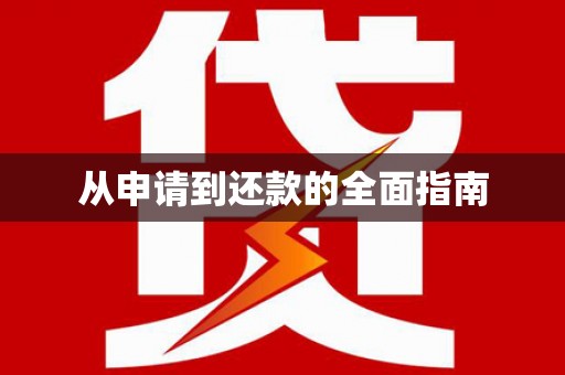 阳谷从申请到还款的全面指南