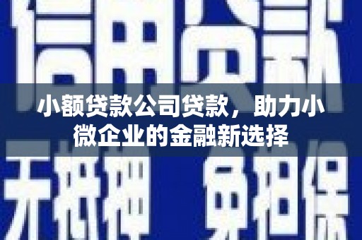 阳谷小额贷款公司贷款，助力小微企业的金融新选择