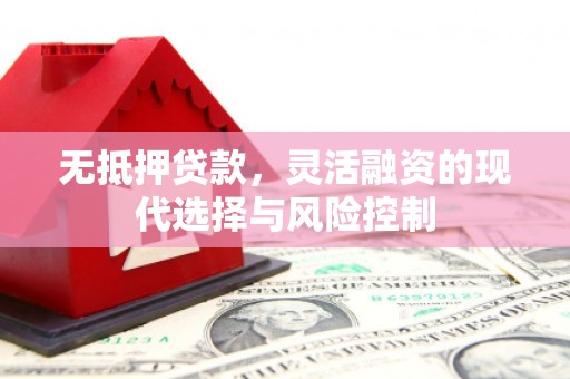 阳谷无抵押贷款，灵活融资的现代选择与风险控制