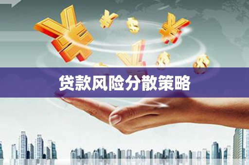 阳谷贷款风险分散策略