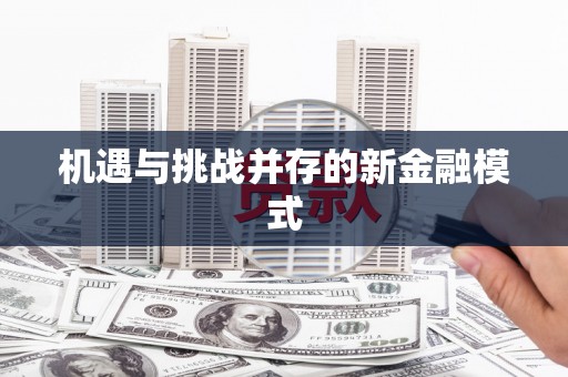 阳谷机遇与挑战并存的新金融模式