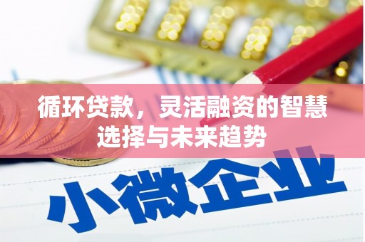 阳谷循环贷款，灵活融资的智慧选择与未来趋势