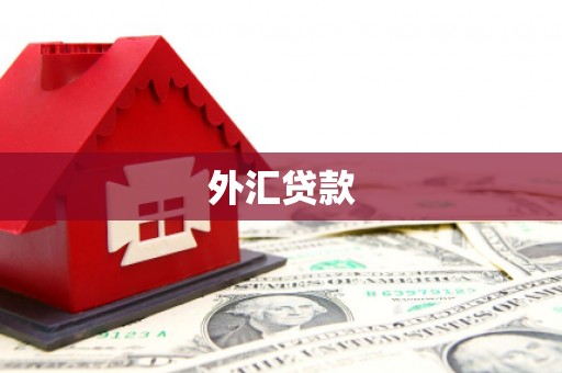 阳谷外汇贷款