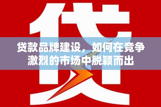 阳谷贷款品牌建设，如何在竞争激烈的市场中脱颖而出