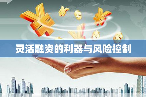 阳谷灵活融资的利器与风险控制
