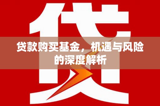 阳谷贷款购买基金，机遇与风险的深度解析