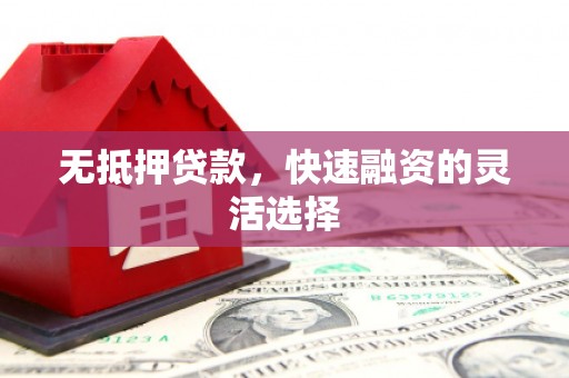 阳谷无抵押贷款，快速融资的灵活选择