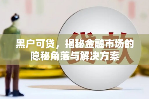 阳谷黑户可贷，揭秘金融市场的隐秘角落与解决方案