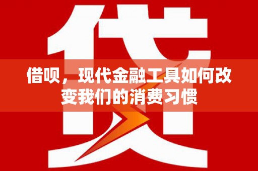 阳谷借呗，现代金融工具如何改变我们的消费习惯