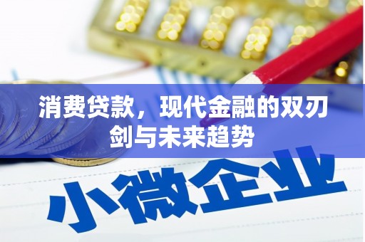 阳谷消费贷款，现代金融的双刃剑与未来趋势