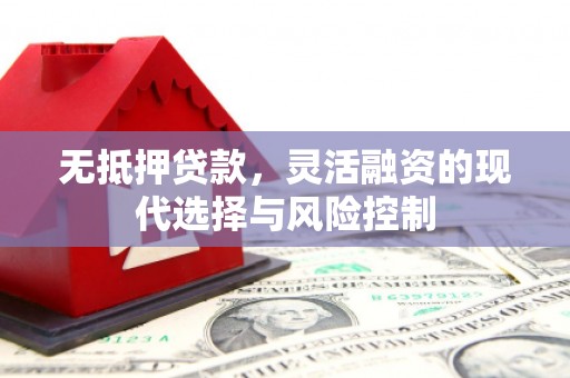 阳谷无抵押贷款，灵活融资的现代选择与风险控制