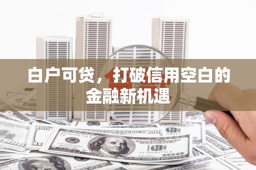 阳谷白户可贷，打破信用空白的金融新机遇