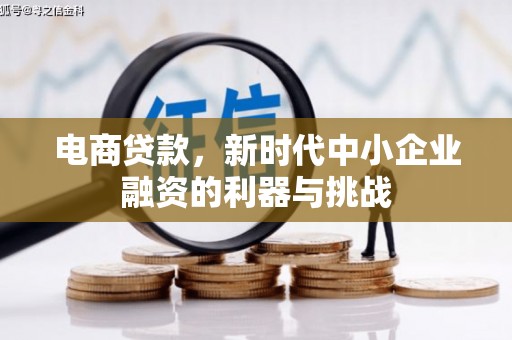 阳谷电商贷款，新时代中小企业融资的利器与挑战