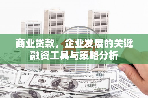 阳谷商业贷款，企业发展的关键融资工具与策略分析