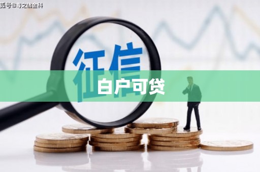 阳谷白户可贷