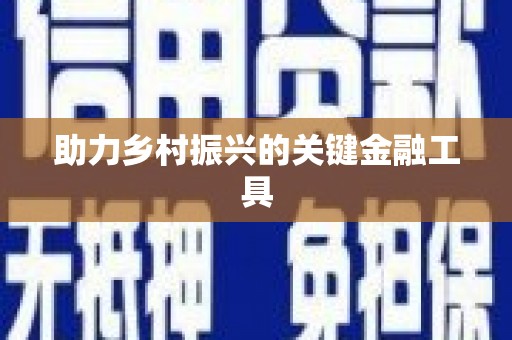 阳谷助力乡村振兴的关键金融工具