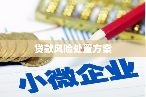 阳谷贷款风险处置方案