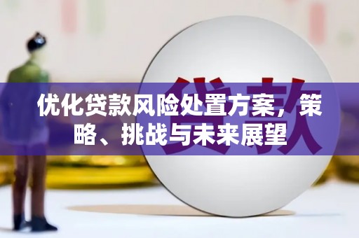 阳谷优化贷款风险处置方案，策略、挑战与未来展望