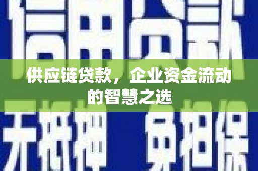 阳谷供应链贷款，企业资金流动的智慧之选