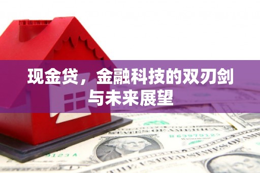 阳谷现金贷，金融科技的双刃剑与未来展望