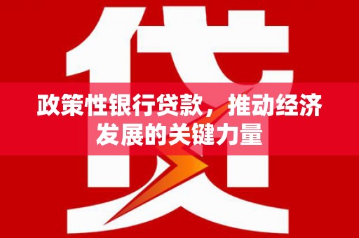 阳谷政策性银行贷款，推动经济发展的关键力量