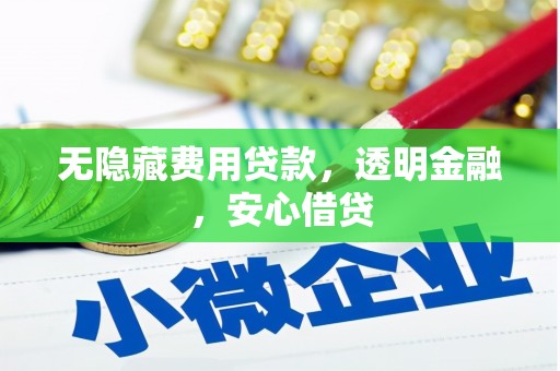阳谷无隐藏费用贷款，透明金融，安心借贷